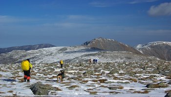 基本信息 鳌山 海拔高度:海拔3475米  地理位置:秦岭中段,陕西太白县