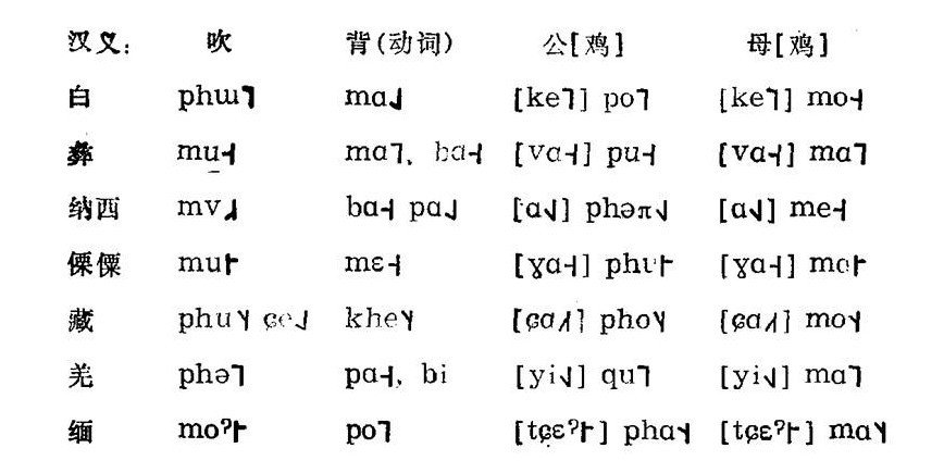 白语