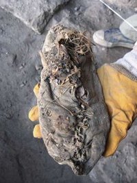 考古学家发现最古老皮鞋距今5500年