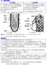菌根