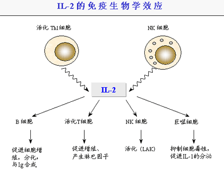 抗肿瘤坏死因子和免疫抑制剂对中重度难治性炎症性肠病疗效及安全性的