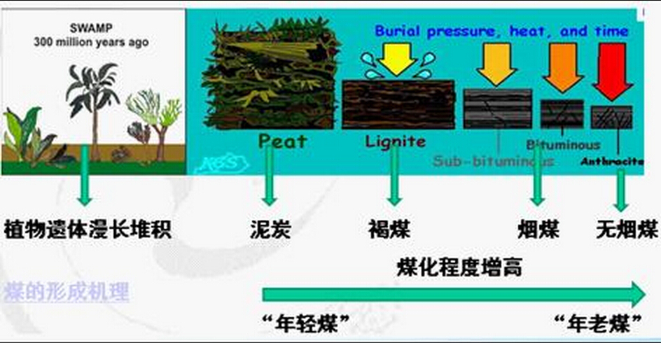 煤化程度_360百科